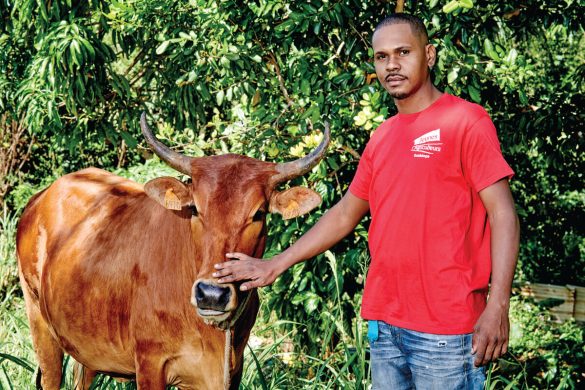Syndicat des jeunes agriculteurs de Guadeloupe
