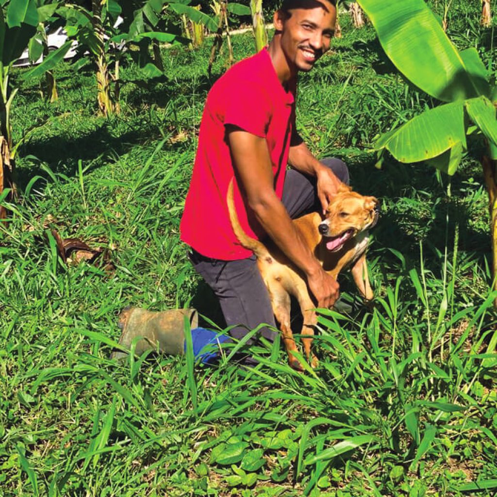 Agreen Startup Guadeloupe