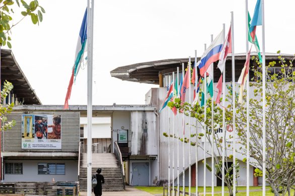 université de Guyane