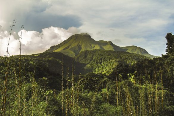 Montagne Pelée