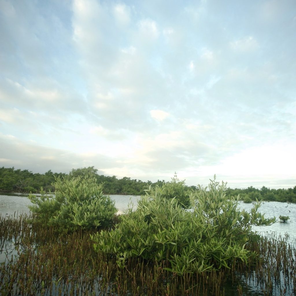 parc national de la Guadeloupe