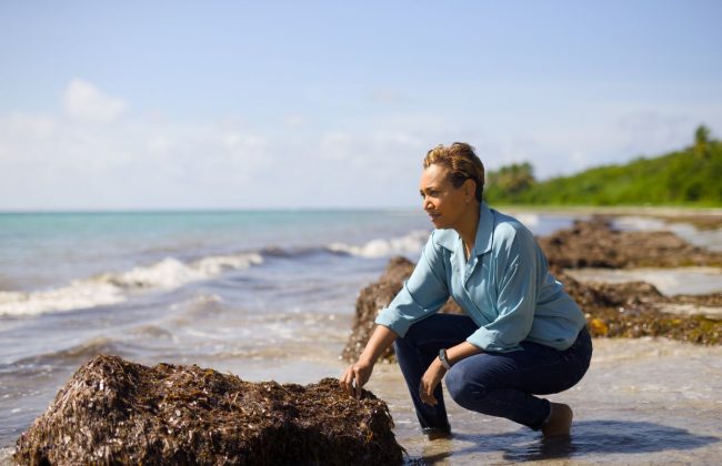 Outre-mer-Innovation-Yasmine-Encelade