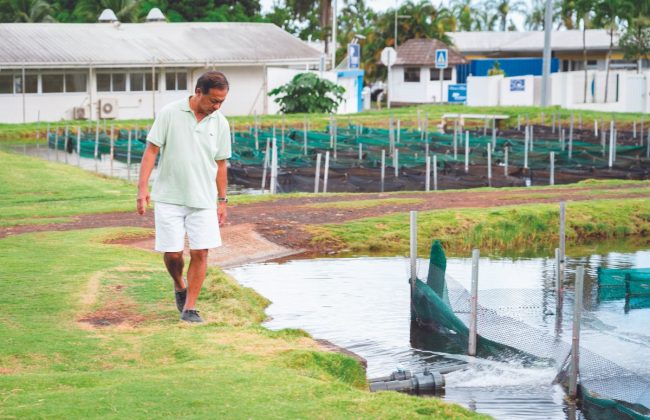 Outre-mer-Innovation-Auguste-Buluc-fondateur-Tahiti-Marine-Biotech-et-Tahiti-Marine-Products