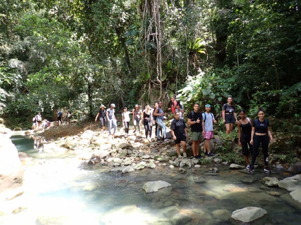 Étudiants en écologie en pleine sortie terrain au saut d’Acomat, Guadeloupe