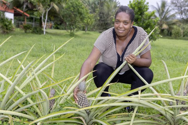 Anaïs Chardon Janvier, directrice du Domaine de la Vallée, accroupie souriante en train de ramasser un ananas