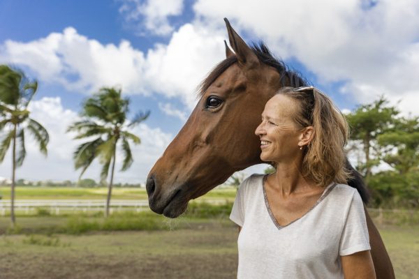 Tessa la gérante dhippotess