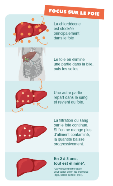 r03-pubpromotionsante-focusfoiecopie